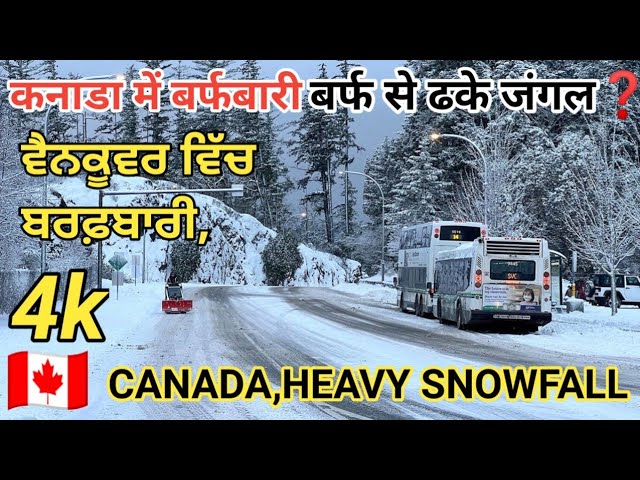 4k  कनाडा में , भारी बर्फबारी, बर्फ से ढके जंगल 😱 Vancouver,snow storm🇨🇦 #canada #nature #walk #