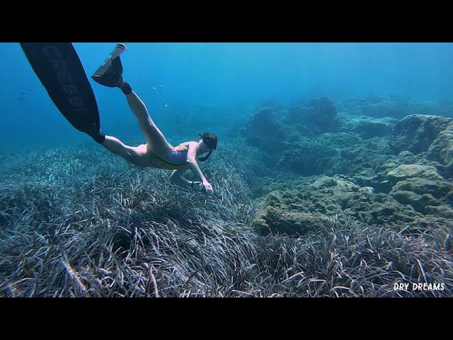 ASMR dive for deep relaxation | fun freediving in Sounio, Greece