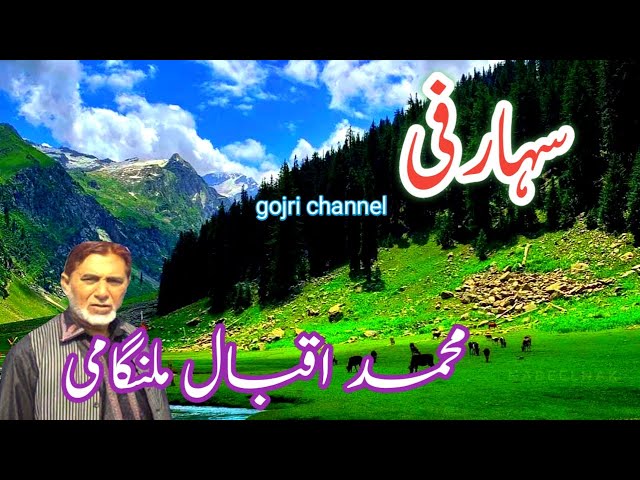 Iqbal malangami | c harfi Gojri charfi | full audio cassette | Gojri channel