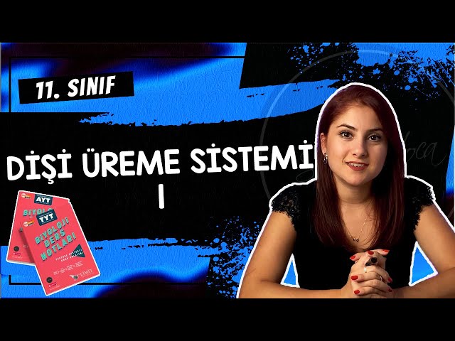 29) DİŞİ ÜREME SİSTEMİ 1 | 11. SINIF | AYT BİYOLOJİ DERS NOTLARI 2024