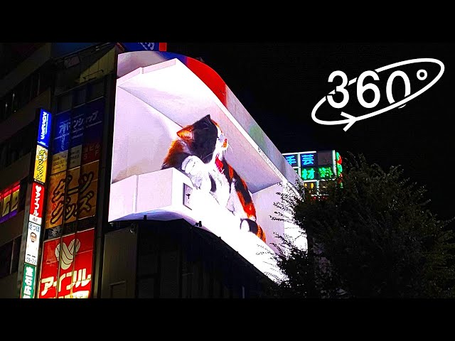 [Tokyo VR] Wait for 8:00 P.M. in Shinjuku while Watching Giant 3D Cat / 新宿東口 巨大3D三毛猫 20時消灯 クロス新宿