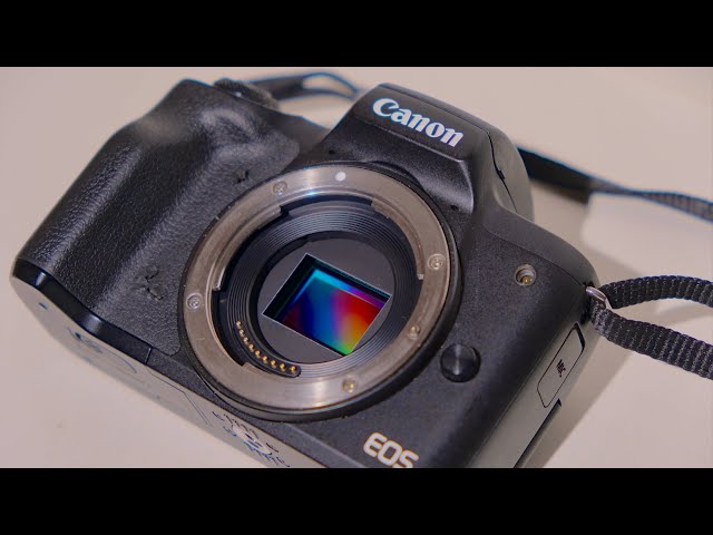 Is The Canon M50 Worth It In 2024?