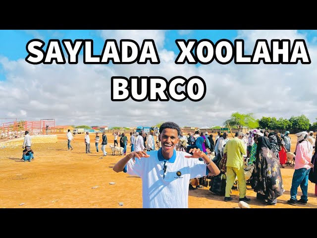 SAYLADA XOOLAHA EE BURCO | A my UGU WAYN GEESKA AFRICA