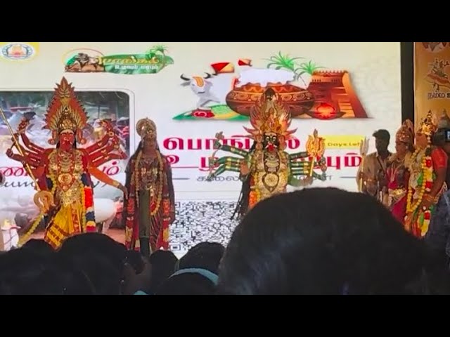 Pongal Celebration / Chennai Park #trending #viral #video #events