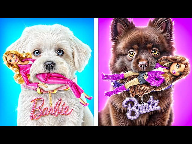 Barbie vs Bratz! Wij Bouwen een Geheime Kamer! Poppenhuis voor een Hond in het Echte Leven