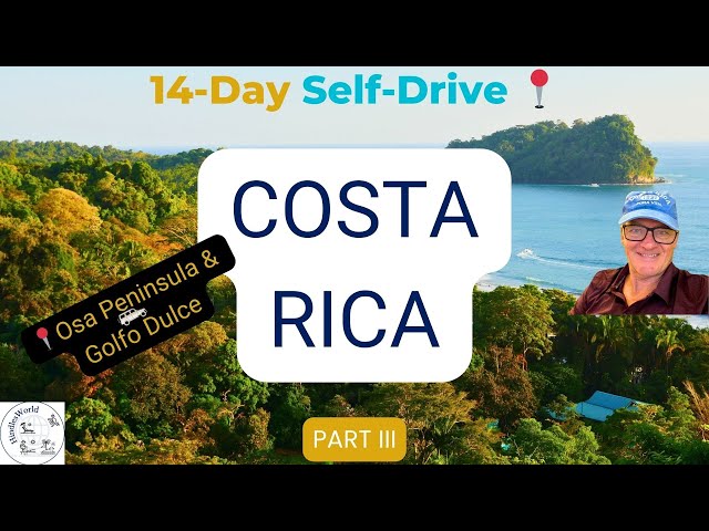 14-Day Self-Drive Costa Rica Itinerary: Part 3 – Osa Peninsula Secrets & Golfo Dulce Magic