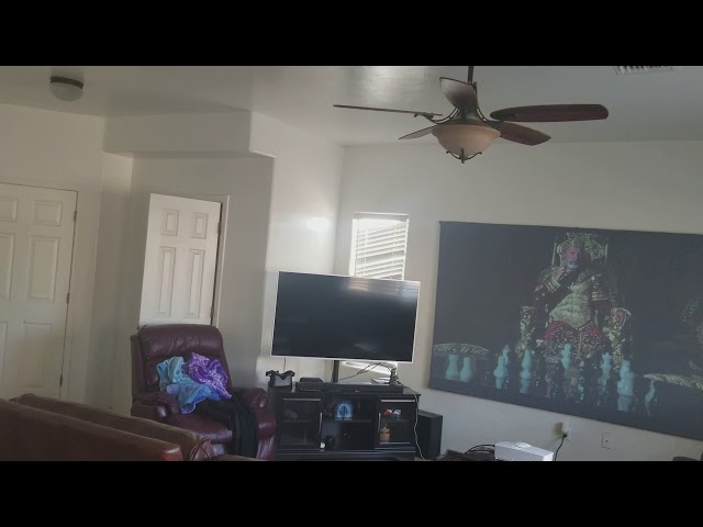 PhantomHD dark projector screen. The best 110" screen for the price with a lot ambient lights. $