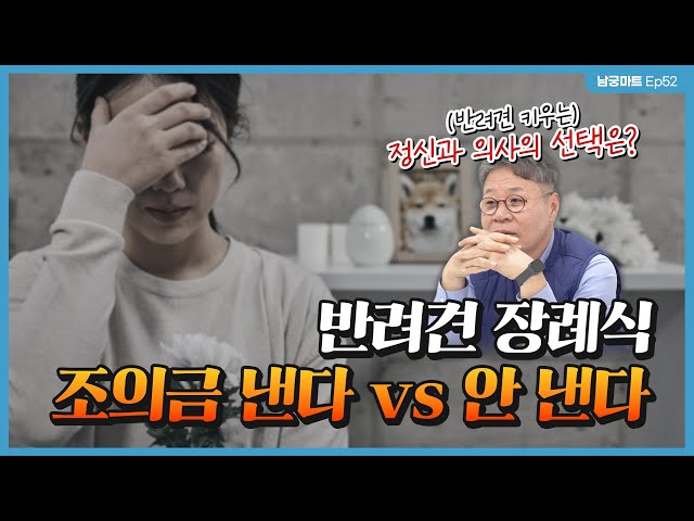 반려견 장례식에 갔는데 조의금함이 있다면 여러분의 선택은? - [남궁마트 Ep52]