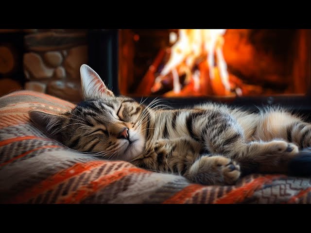 Relax with Purring Cat and Crackling Fireplace 🔥 ASMR For Deep Sleep, Heal Insomnia |