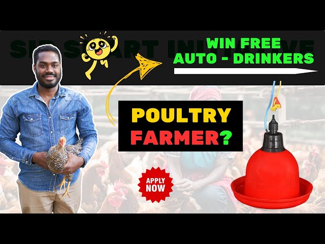 Enter to WIN Automatic Chicken Drinkers for your Poultry Farm