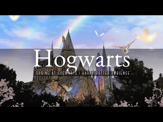 SPRING AT HOGWARTS | MAGICAL HARRY POTTER AMBIENCE WITH GENTLE SPRING SOUNDS 🌸🏰✨