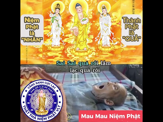 ✅A DI ĐÀ PHẬT - Bạn cứ viện lý do cho sự "Giãi Đãi" niệm Phật của chính mình