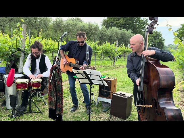 Acento Latino Trio Flamenco Song