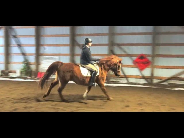 OHSA March 2022 - Class #42 Hunter Under Saddle