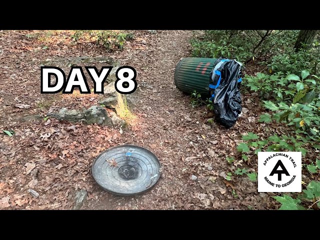 Bear and Mountain Laurel | Day 8 | Appalachian Trail 2023