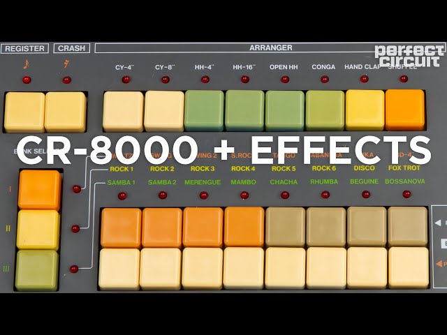 Roland CR-8000 Drum Machine With Zen Delay, Retroverb Lancet, Sherman Filterbank and Spice