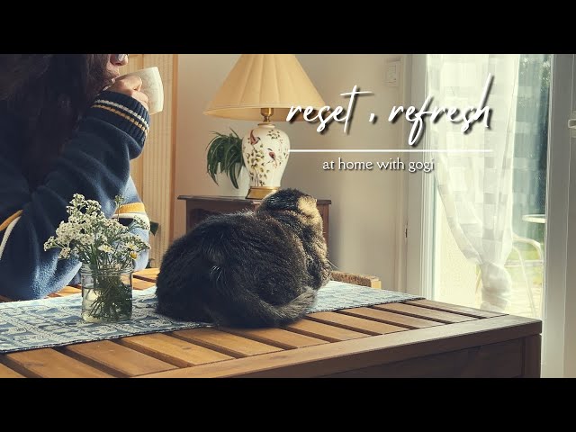 Reset and refresh: a day in the life | investing in myself | slow living vlog | life in France