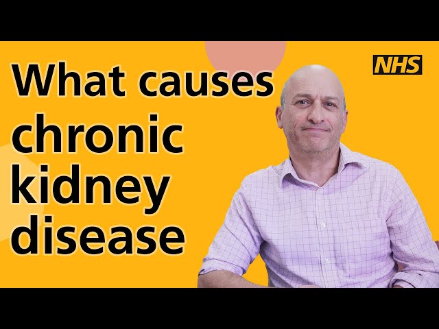 What causes chronic kidney disease?