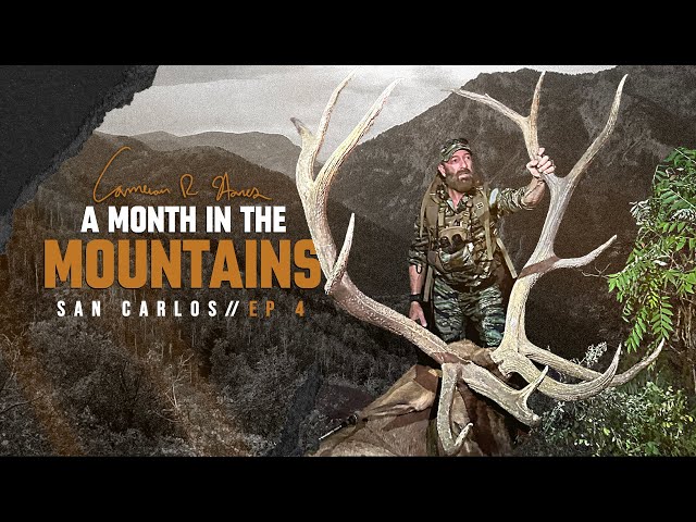 San Carlos Elk Dreams at Dusk : ep 4 : A Month in the Mountains