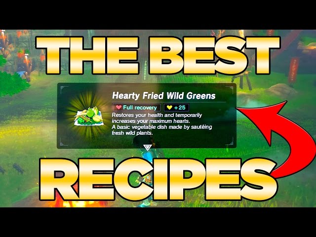 THE BEST Recipes GUIDE in Breath of the Wild - Best Dishes Cooked| Austin John Plays