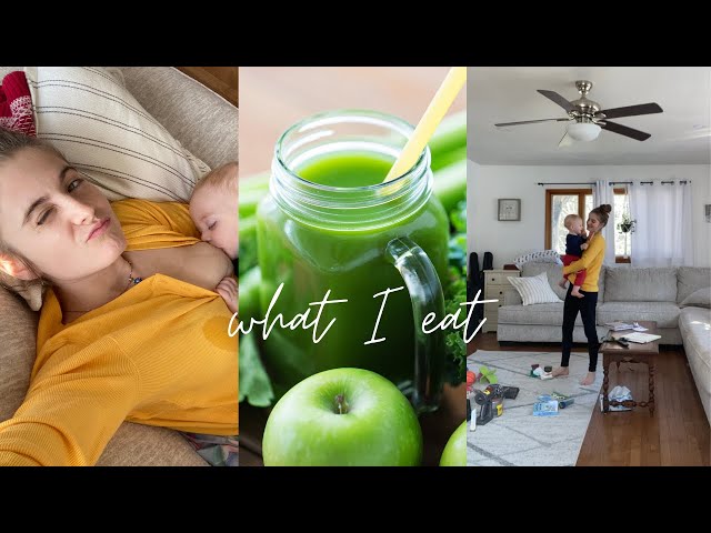 What a Vegan Breastfeeding Mom Eats in a Day + Calorie count