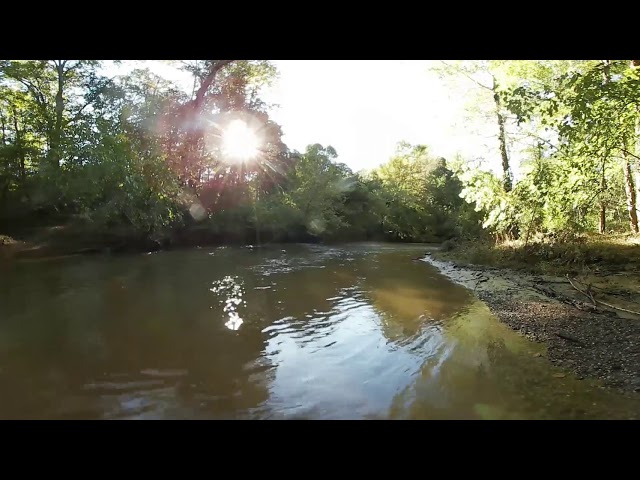 Relaxing  River in a country forest Sounds & video 4k