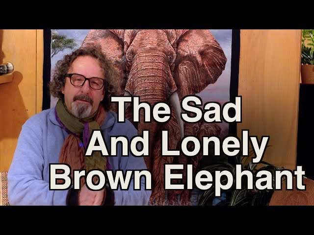 Episode 15: The Sad, Lonely And Dangerous Brown Elephant