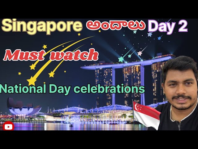 Singapore National Day Celebrations🇸🇬🇸🇬 #day2 #singapore #nationalday #fireworks #celebration