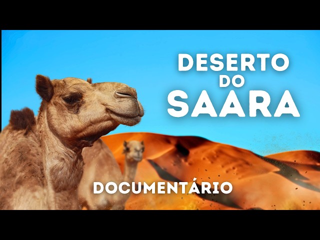 DESERTO DO SAARA | Animais Extraordinários em um Mundo de Extremos | Documentário