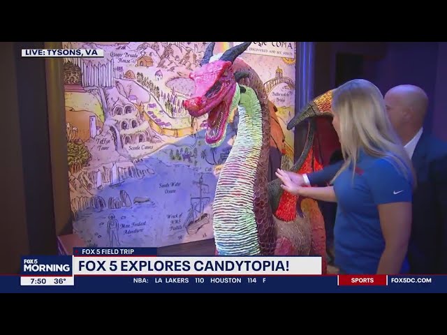 Exploring the world of Candytopia at Tysons Corner Center | FOX 5's Good Day DC