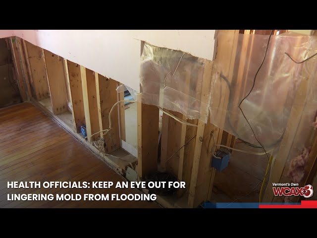 Health officials: Keep an eye out for lingering mold from flooding