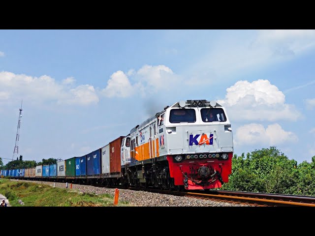 CC 206 13 75 CPN feat KA BARANG PETIKEMAS KONTAINER | Kalimas - Tanjung Priok Lepas Stasiun Cepu