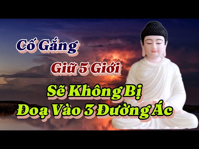 Phật nói cố gắng giữ tốt 5 giới, sẽ không bị đoạ vào 3 đường địa ngục, ngạ quỷ và súc sanh