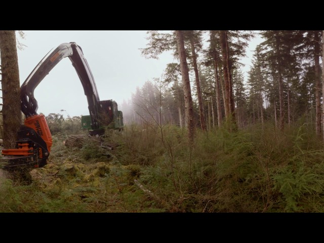 360 Experience: John Deere 909M Feller Buncher