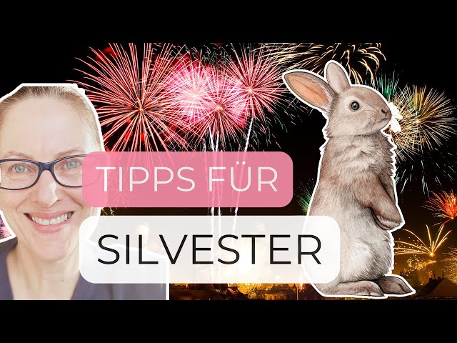 🎆  Kaninchen an Silvester: 6 Tipps für deine Kaninchen, um den Lärm stressfrei zu überstehen