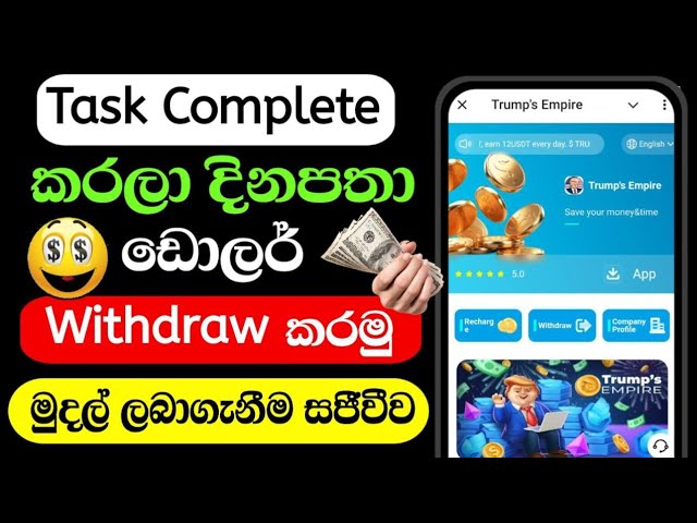 How to Earn Money Online Sinhala 2024 | New USDT Earning Site | Live Withdraw #usdt