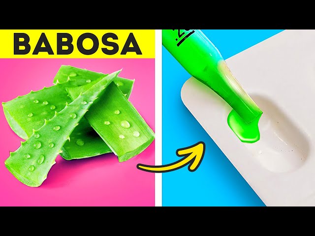 Macetes com Aloe Vera Para Cuidar do Corpo e Ficar Linda 🌸💆‍♀️