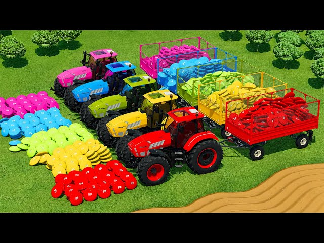 LOAD AND TRANSPORT M&M's CANDIES WITH LAMBORGHINI TRACTORS - Farming Simulator 22