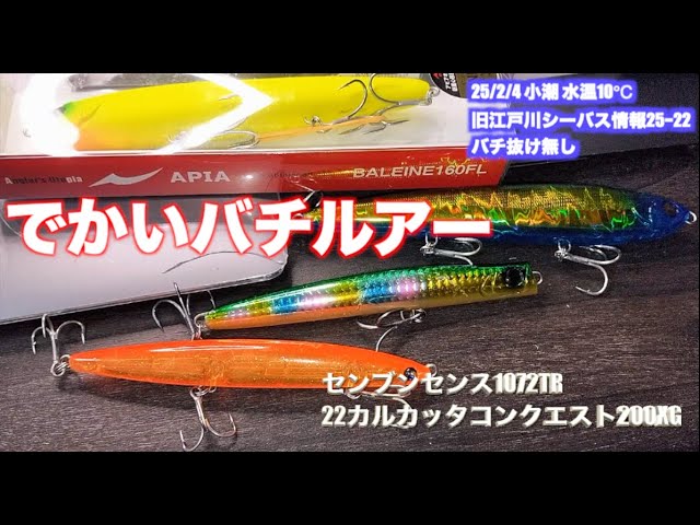 バチパターンで使えそうなストロングバチルアーを買いました。【22カルカッタコンクエスト200XGとセブンセンスTR1072】旧江戸川シーバス・チニング/2月4日【小潮  水温10℃/釣り場状況22】