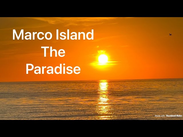 White Sand Beaches - Marco Island things to Do - Informative Video in 4k - Best island in Florida