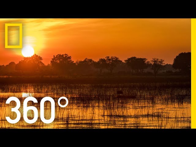 The Okavango After Dark in 360 - Ep. 3 | The Okavango Experience