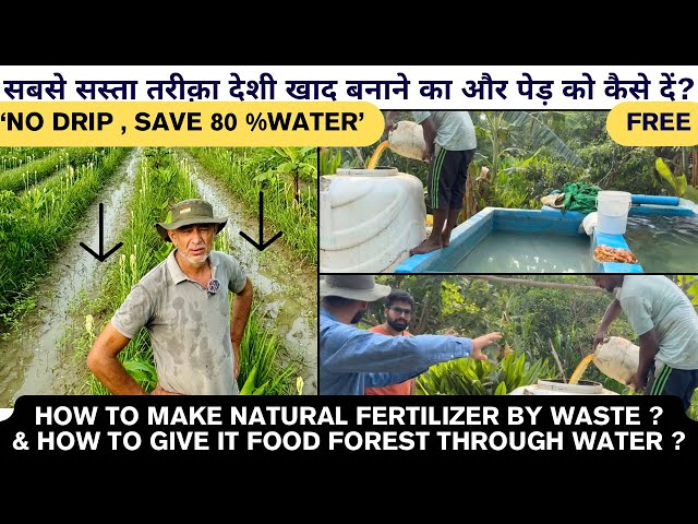 कैसे खाद और पानी बचाया ? LOW COST Natural fertilizer and irrigation techniques jeevamrit gokripamrit