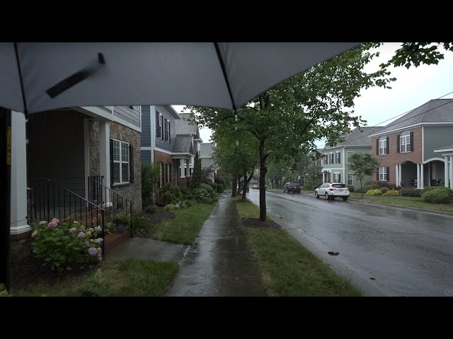 Relaxing American Neighborhood Walk in the Rain | Nature Sounds for Sleep and Study