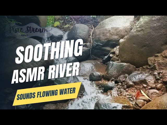 Soothing ASMR River Sounds | Flowing Water & Nature Ambience for Sleep, Relaxation, and Focus