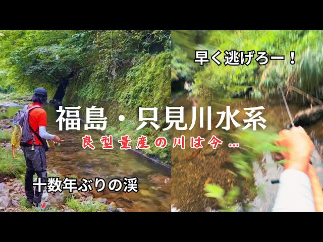 【渓流ルアー】十数年ぶりの川で泣きっ面に蜂の釣行【福島・只見川水系】