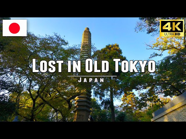 Tokyo Japan Walk: Discovering Hidden Beauty of Jindaiji Temple & Urban Landscapes • 4K UHD