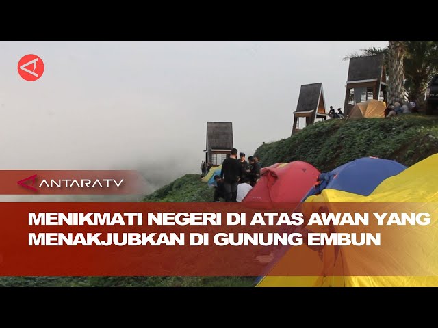 Menikmati negeri di atas awan yang menakjubkan di Gunung Embun