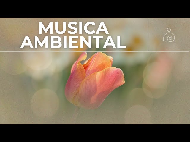 🌿Música Ambiental 2024 / Libera El Estrés Y la Ansiedad /🌿