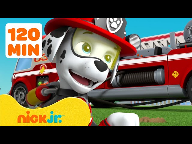 Paw Patrol | ¡Los rescates más osados de Marshall de PAW Patrol! | Nick Jr. en Español