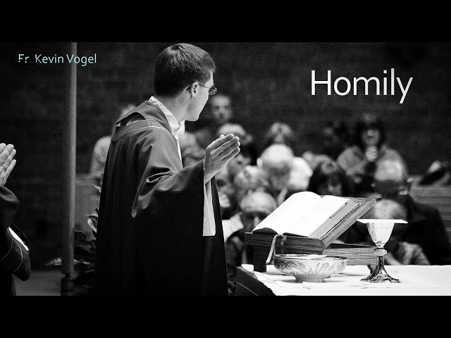 Holy Spirit and Fire - Homily 01/12/25